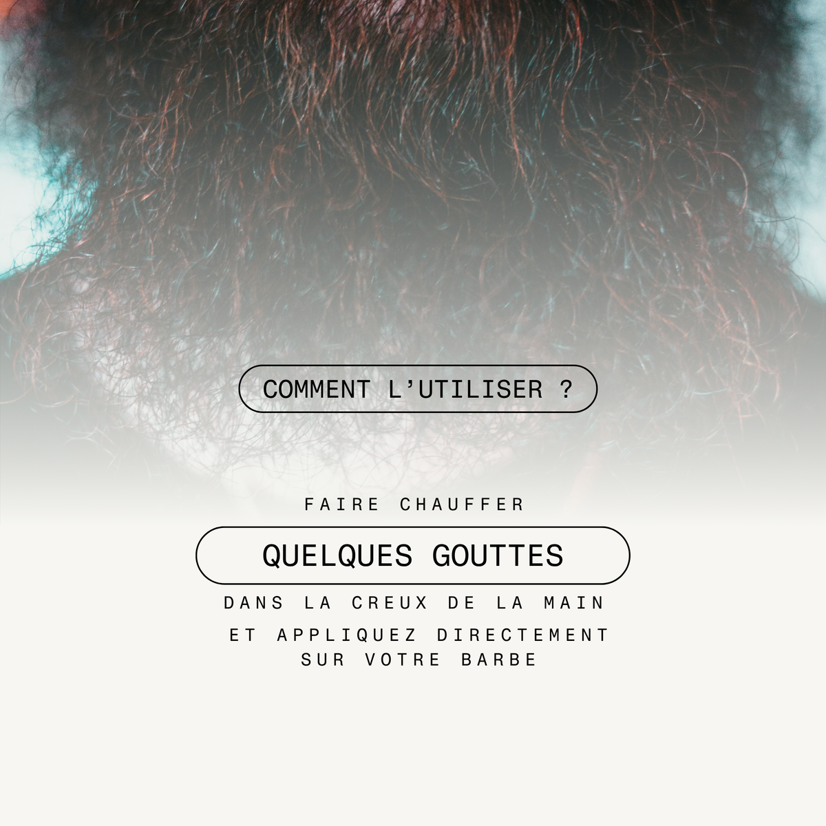 Huile à Barbe aux 5 huiles BIO