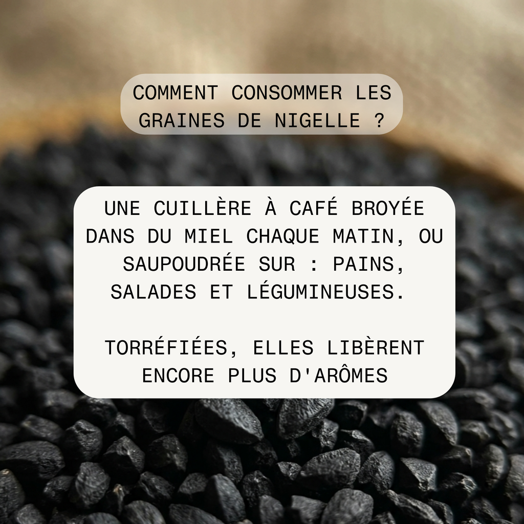 Graines de nigelle - grand cru d’Éthiopie 100g