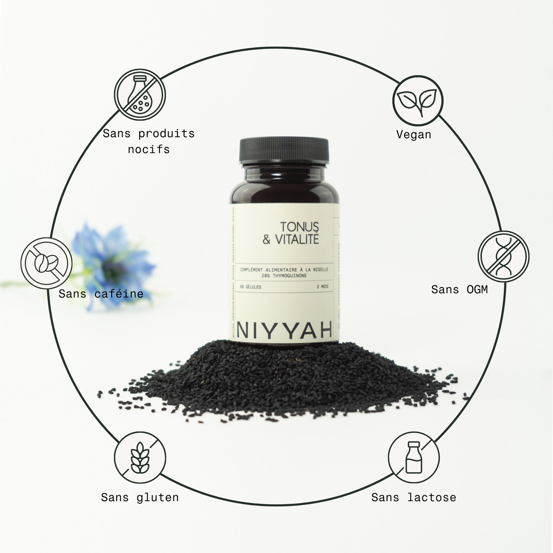 Tonus & Vitalité